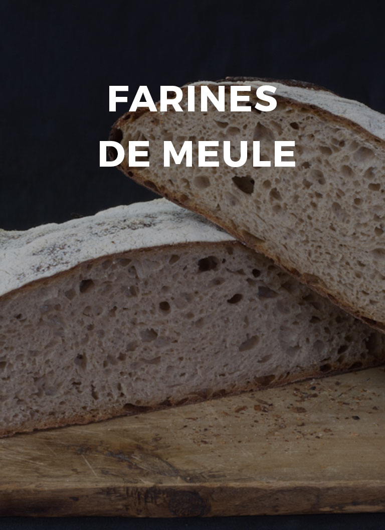 couv-categorie-meule