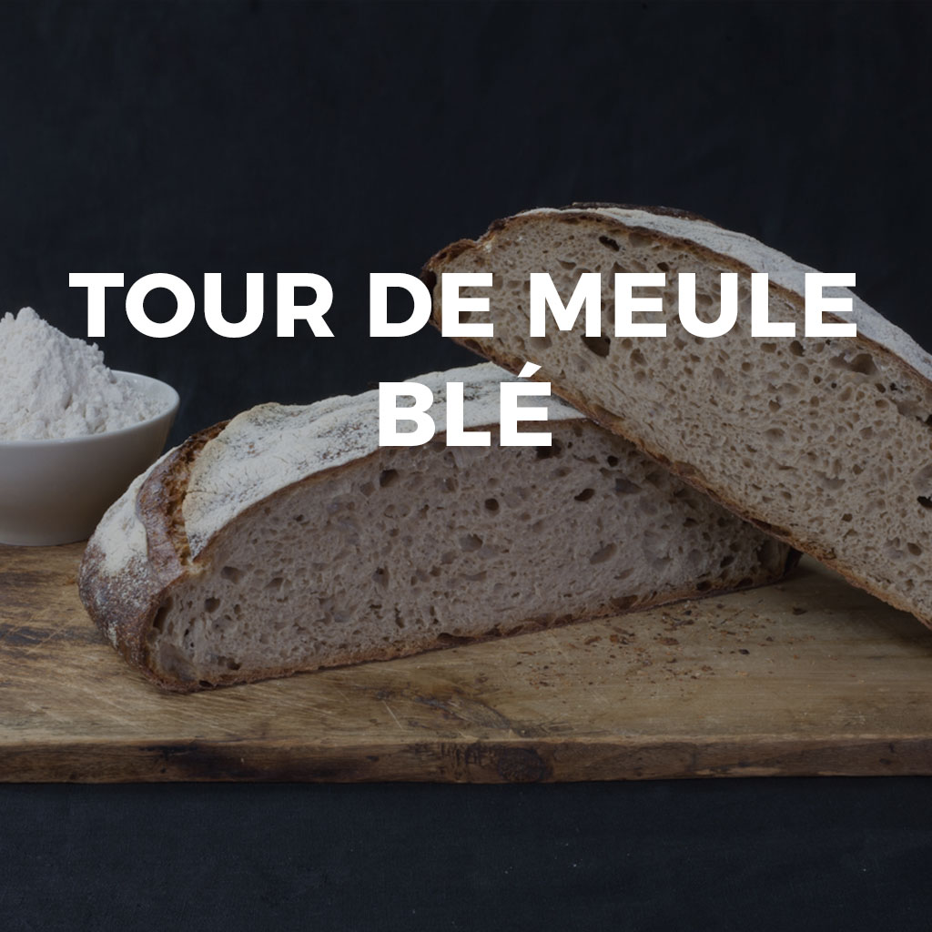 tour-meule-vignette