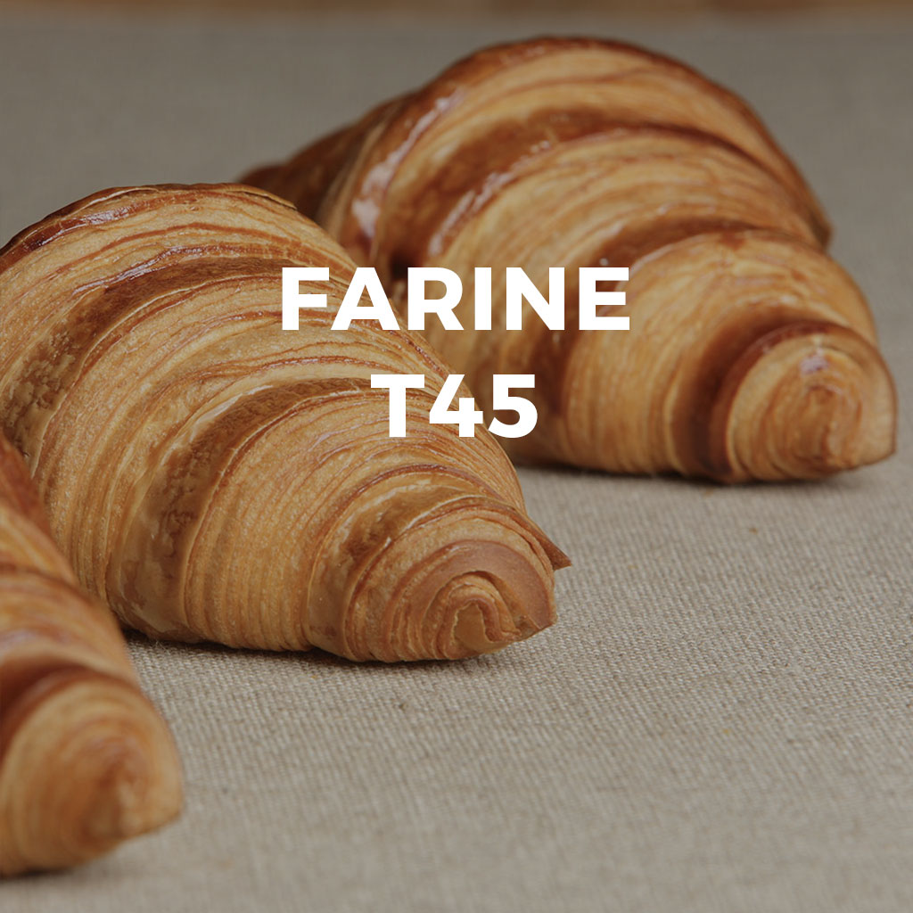 farine-t45