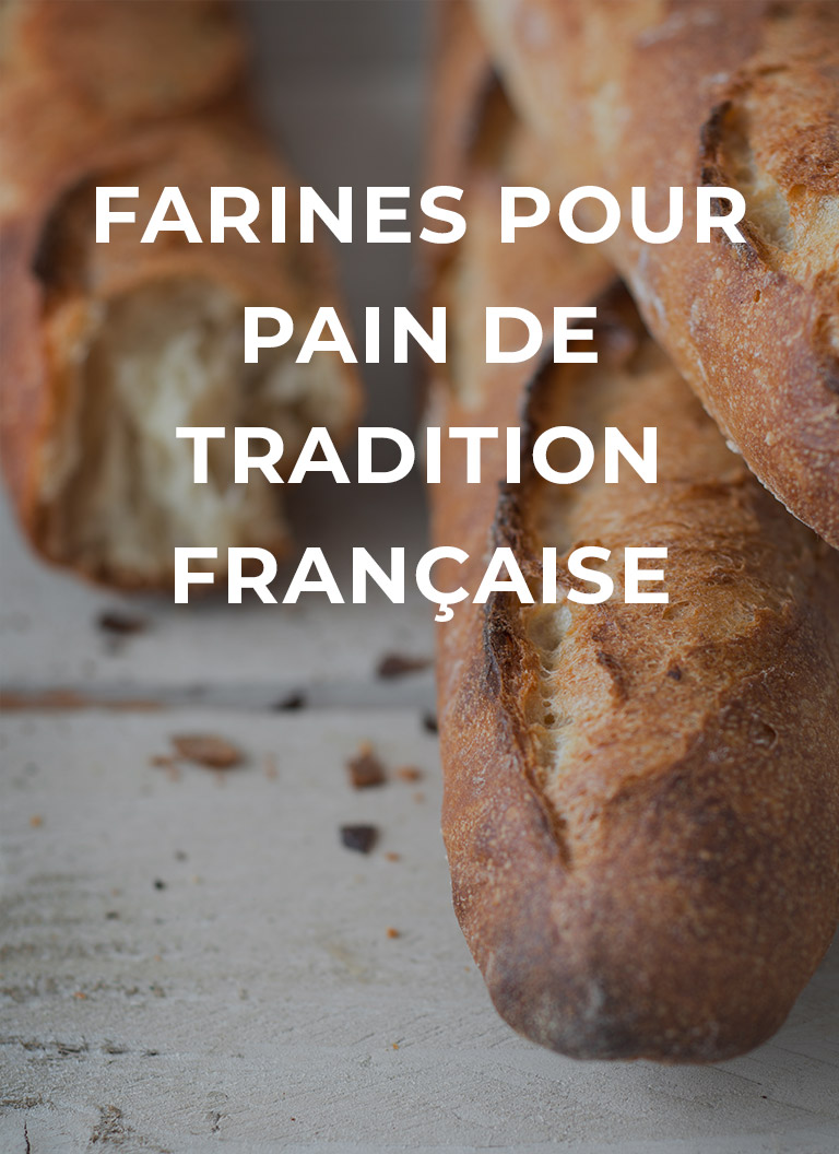 farines-pour-pain-de-tradition-francaise-moulins-bourgeois